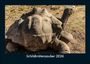 Tobias Becker: Schildkrötenzauber 2026 Fotokalender DIN A5, KAL