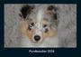 Tobias Becker: Hundezauber 2026 Fotokalender DIN A4, KAL