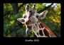 Tobias Becker: Giraffen 2026 Fotokalender DIN A3, KAL