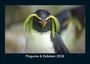 Tobias Becker: Pinguine & Eisbären 2026 Fotokalender DIN A5, KAL