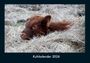 Tobias Becker: Kuhkalender 2026 Fotokalender DIN A4, KAL