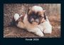Tobias Becker: Hunde 2026 Fotokalender DIN A5, KAL