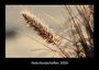 Tobias Becker: Naturlandschaften 2026 Fotokalender DIN A3, KAL