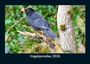 Tobias Becker: Vogelparadies 2026 Fotokalender DIN A5, KAL