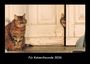 Tobias Becker: Für Katzenfreunde 2026 Fotokalender DIN A3, KAL