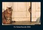 Tobias Becker: Für Katzenfreunde 2026 Fotokalender DIN A4, KAL