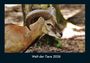 Tobias Becker: Welt der Tiere 2026 Fotokalender DIN A4, KAL