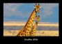 Tobias Becker: Giraffen 2026 Fotokalender DIN A3, KAL
