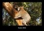 Tobias Becker: Koala 2026 Fotokalender DIN A3, KAL