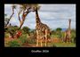 Tobias Becker: Giraffen 2026 Fotokalender DIN A3, KAL