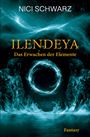 Nici Schwarz: Ilendeya, Buch