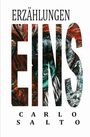 „ERZÄHLUNGEN EINS“ in großen Buchstaben, darunter „CARLO SALTO“. Kunstvolle, bunte Illustration im Wort "EINS".