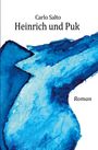 "Carlo Salto, Heinrich und Puk, Roman" steht über einer blauen Aquarell-Illustration.