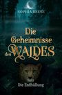 "Die Geheimnisse des Waldes. Teil 2 Die Enthüllung." Im Wald, Mond über einem Geparden. Mystische Atmosphäre.