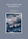 Titel: "Die Schweiz im Blindflug". Untertitel: "Manifest für eine langfristige und ehrliche Schweizer Abstimmungskultur". Autor: M. Stern. Illustration: Wolken und Berglandschaft mit Schweiz-Karte.