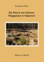 "Eckehard Plum: Die Moore am Kleinen Müggelsee in Köpenick. Moore in Berlin. Foto eines Waldes mit Gras und Moos."