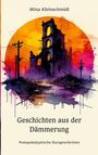 "Mina Kleinschmidt. Geschichten aus der Dämmerung. Postapokalyptische Kurzgeschichten." Ruinen vor feurigem Himmel.