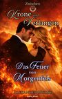 Alexander Pahlke: Das Feuer von Morgenfels, Buch
