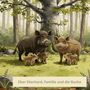 Text: "Heribert Lange", "Eber Eberhard, Familie und die Buche". Illustration: Wildschwein-Familie im Wald unter einer Buche.