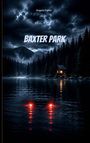 "BAXTER PARK", "Angela Forks". Düstere Szene, Berge und Wald spiegeln sich im See. Auto im Wasser, rotes Licht leuchtet.