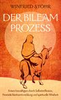 Texte: "Winfried Stöhr", "Der Bileam Prozess", "Krisen bewältigen durch Selbstreflexion, Persönlichkeitsentwicklung und spirituelle Weisheit". Illustration eines Reiters auf einem Esel vor einem orangen Hintergrund.