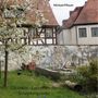 Michael Pflaum, Gärtnern - Exerzitien der Schöpfungsliebe. Ein blühender Baum, Fachwerkhaus, kleiner Garten mit Gewächshaus.