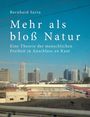 Bernhard Sarin: Mehr als bloß Natur, Buch