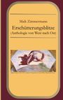 "Erschütterungsblitze (Anthologie von West nach Ost)" von Maik Zimmermann. Unten Renaissance-Fresko-Illustration.