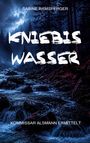 "Kniebis Wasser", Autorin Sabine Ramsperger. Szene: Ein dunkler Wald mit fließendem Bach und nebelverhangenem Himmel.