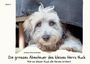 "Band 1. Andrea Mumenthaler. Die grossen Abenteuer des kleinen Herrn Nuck. Wie ein kleiner Hund alle Herzen erobert." Ein Hund blickt unter einer Decke hervor.