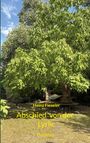 "Heinz Fieseler - Abschied von der Lyrik - Gedichte" in Gelb über grünem Baum mit Hängematte und Bank darunter.