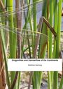 Text: "Dragonflies and Damselflies of the Continents", "Matthias Hartung". Libellen auf Schilf in einem natürlichen Umfeld.