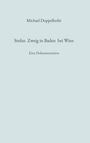 Titel: "Stefan Zweig in Baden bei Wien". Autor: Michael Doppelhofer. Untertitel: "Eine Dokumentation". Hellblauer Hintergrund.