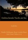 Natalie Mehlmann: Einbrechende Nacht am See, Buch