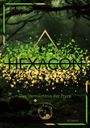 „T.M. FOXX, HEXAGON, Das Vermächtnis der Pryce. 2, ROMAN.“ Goldene und grüne Kreise über Waldboden. 

