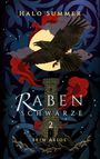 Titel: "Raben Schwarze 2: Sein Aeol". Illustration: Ein Rabe fliegt vor einem Turm, umgeben von Wolken und roten Elementen.