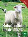 Ferdinand Ringdorfer: Schafhaltung heute, Buch
