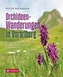 Peter Nachbaur: Orchideen-Wanderungen in Vorarlberg, Buch