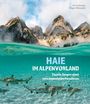 Iris Feichtinger: Haie im Alpenvorland, Buch