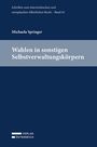 Michaela Springer: Wahlen in sonstigen Selbstverwaltungskörpern, Buch