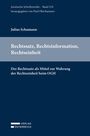 Julius Schumann: Rechtssatz, Rechtsinformation, Rechtseinheit, Buch