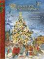 Stephan Wolf: Weihnachten in Wiesenwald, Buch