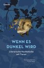 Wenn es dunkel wird, Buch