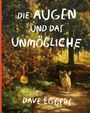 Dave Eggers: Die Augen und das Unmögliche, Buch