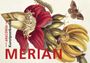 : Postkarten-Set Maria Sibylla Merian, Buch