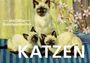 : Postkarten-Set Katzen, Div.