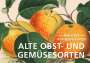 : Postkarten-Set Alte Obst- und Gemüsesorten, Div.