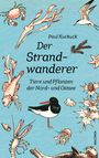 Paul Kuckuck: Der Strandwanderer. Tiere und Pflanzen der Nord- und Ostsee, Buch