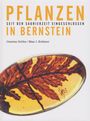 "PFLANZEN SEIT DER SAURIERZEIT EINGESCHLOSSEN IN BERNSTEIN" und Autoren: Carsten Gröhn, Max J. Kobbert. Blatt in Bernstein.