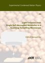 Vibhuti Narayan Rai: Light Emission from Single Self-decoupled Molecules in a Scanning Tunnelling Microscope, Buch